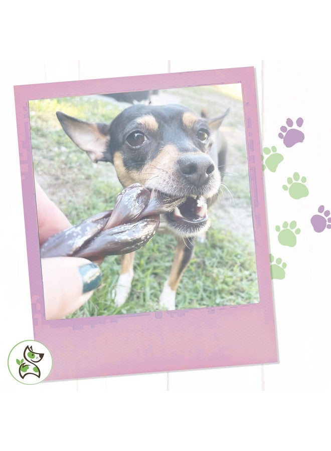 طبيعة عظام مضغ الكلاب المضفرة من بولي تويست 5-6 بوصات (3 قطع) - تدوم طويلاً للكلاب الصغيرة والمتوسطة الحجم - عظام مضغ الكلاب من لحم البقر الطبيعي - Image 4