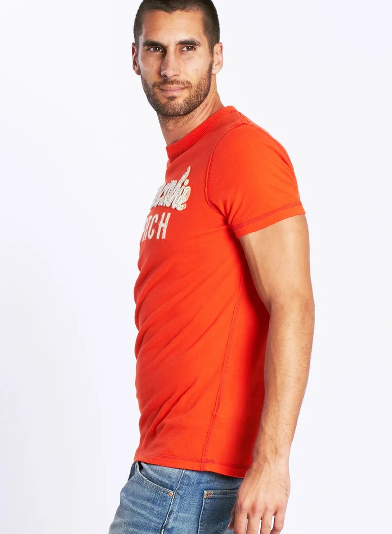 Abercrombie & Fitch Graphic Crew Neck Tshirt