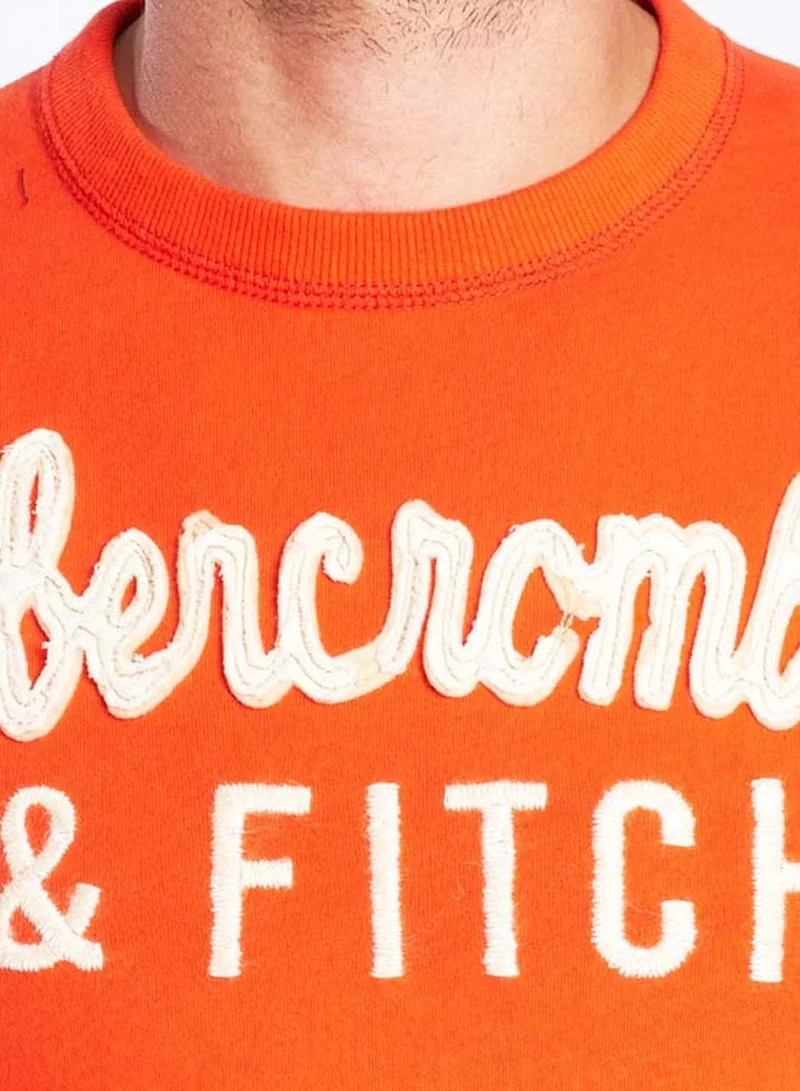 Abercrombie & Fitch Graphic Crew Neck Tshirt