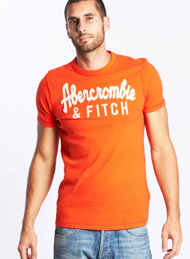 Abercrombie & Fitch Graphic Crew Neck Tshirt