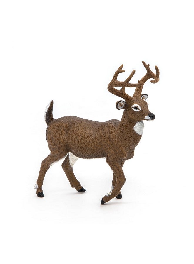 Papo Papo - White-Tailed Deer Figure - Realistic Forest Animal Toy for Kids Age 3+ - Hand Painted Wildlife Model with Antlers - 10.4 x 4 x 10.9 cm - Durable Plastic Figure - Wildlife Collection - 53021 - Image 4