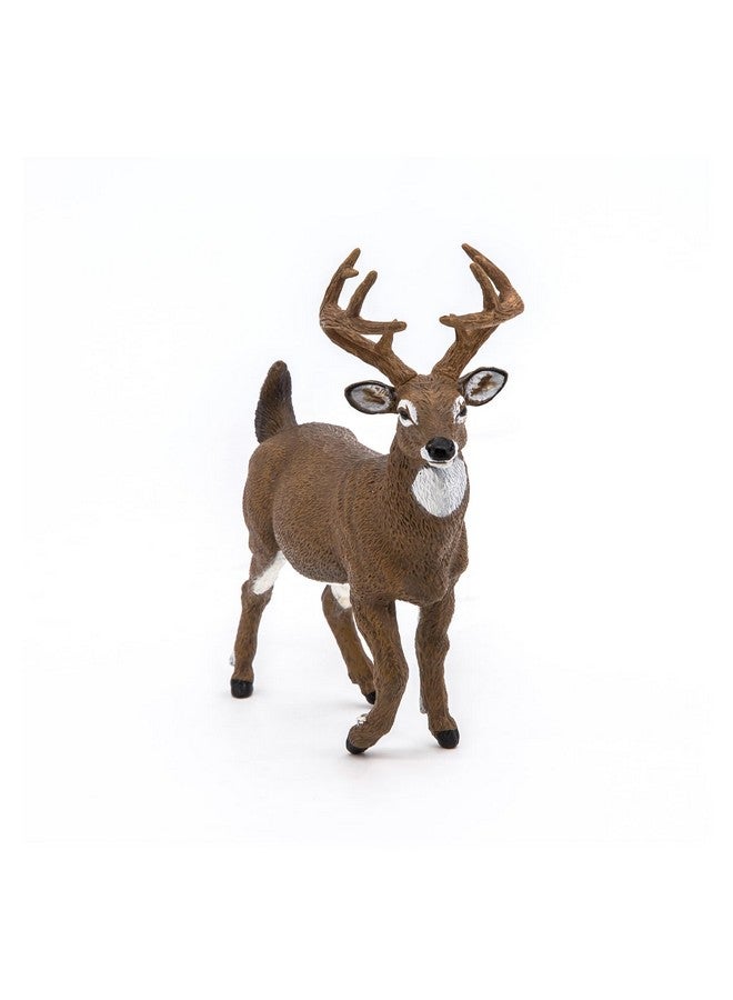 Papo Papo - White-Tailed Deer Figure - Realistic Forest Animal Toy for Kids Age 3+ - Hand Painted Wildlife Model with Antlers - 10.4 x 4 x 10.9 cm - Durable Plastic Figure - Wildlife Collection - 53021 - Image 5