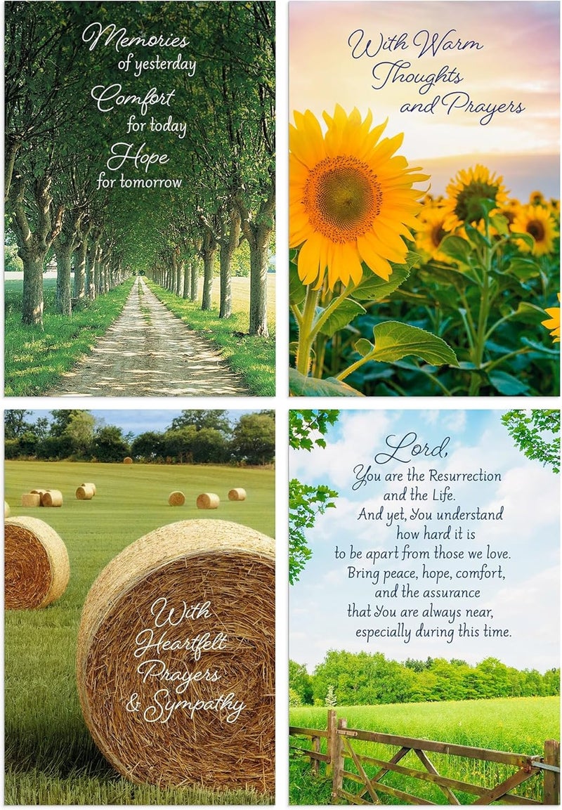 DaySpring  Sympathy  4 Design Assortment with King James Scripture  12 Sympathy Boxed Cards  12 Envelopes U1612 - Image 2