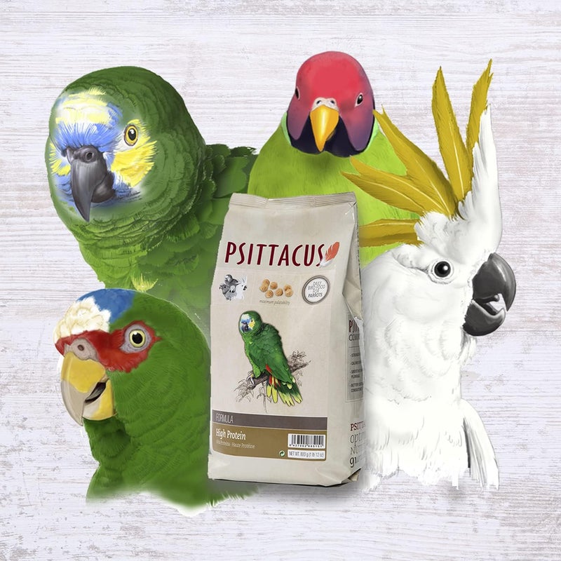 سيتاكوس Psittacus عالي البروتين 800 جرام | علف كامل للببغاوات والكوكاتيل والباراكيت من Kramer | طعام طيور فاخر، 100% غير معدل وراثيًا - Image 4