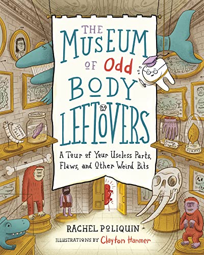 The Museum Of Odd Body Leftovers A Tour Of Your Useless Parts Flaws And Other Weird Bits