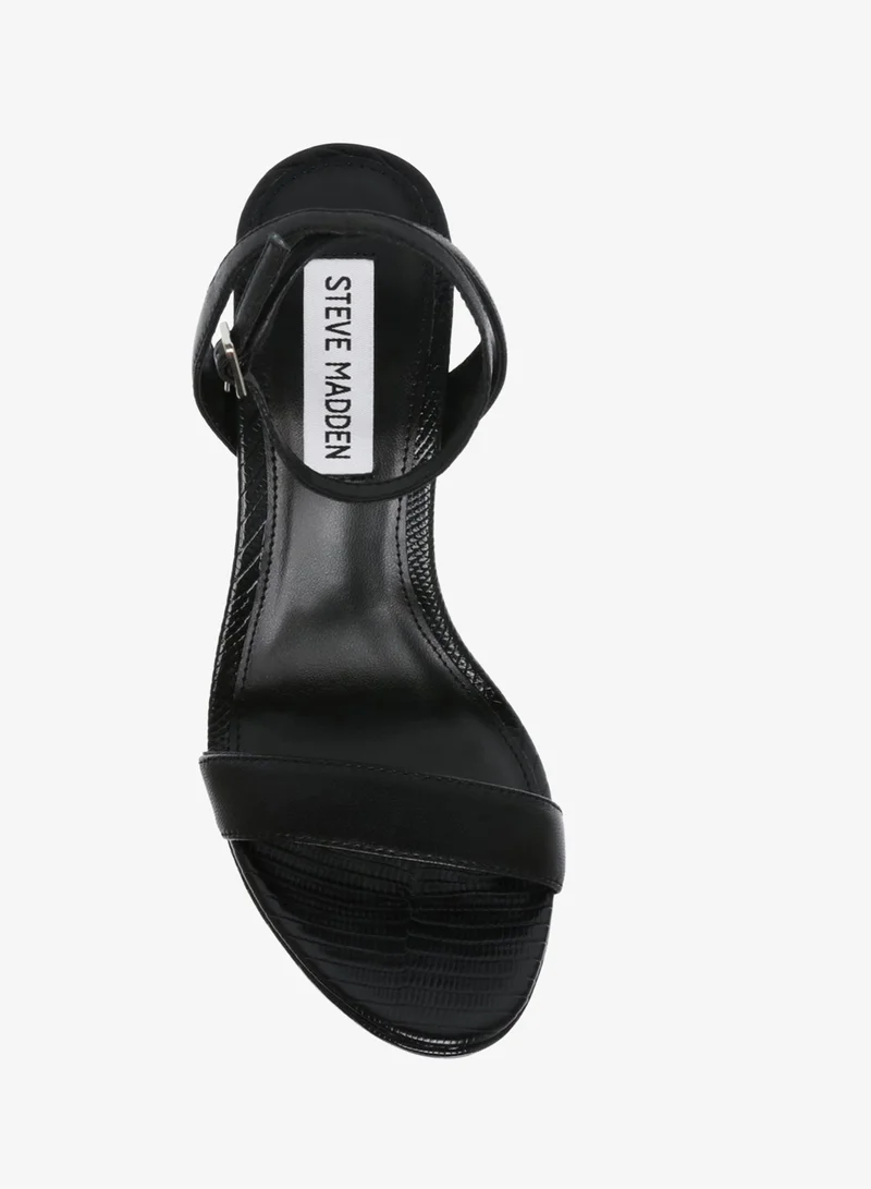 STEVE MADDEN  Steve madden wordly black women's sandals for Women | Best Price UAE