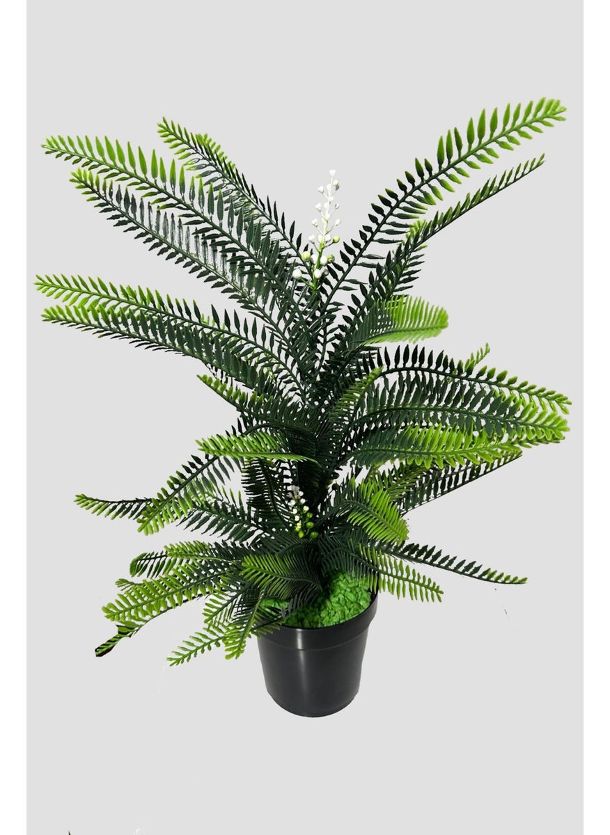 Artificial Flower 65 cm Dense Leaves Fouger Plant in Black Pot - pzsku/ZCE3FC731D0B48711B2D5Z/45/_/1730752330/740cb827-a7c0-4dd5-ae23-4fef58640101