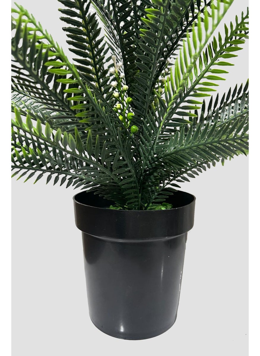 Artificial Flower 65 cm Dense Leaves Fouger Plant in Black Pot - pzsku/ZCE3FC731D0B48711B2D5Z/45/_/1730752343/3389f44e-88fa-4679-ac01-b1b1932c75d2