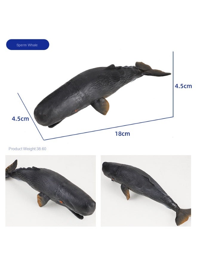 NIBEMINENT Children's New Ocean World Plant and Animal Model Set