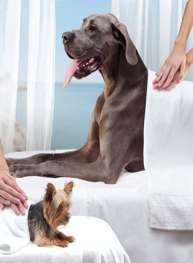 Fromm Reduced Activity Senior Gold Premium Dog Food - Senior Dry Dog Food for Medium & Small Breeds - Chicken Recipe - 5 lb - Image 4