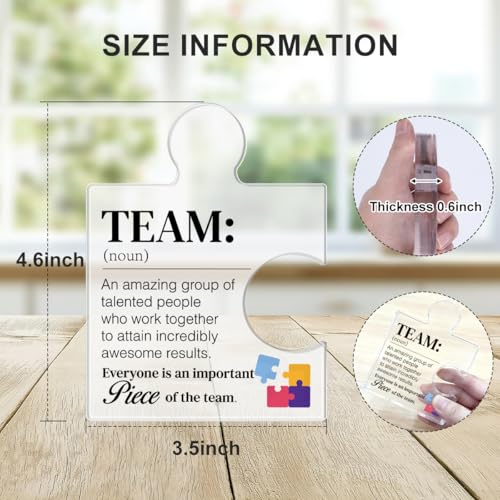 Yigaue Team Gift Thank You Appreciation Gifts for Coworkers Colleagues Employees Team Definition Acrylic Puzzle Piece Plaque Office Decor - Image 2