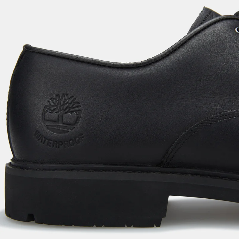 Timberland Men's Stormbucks PT Oxford Shoe