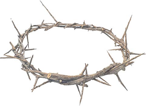 Jerusalem Authentic Biblical Lifesize Real Crown of Thorns with Box Zuluf Certificate Religious Easter Wreath Home Dcor Tree Topper Jesus Christ Wall Decor Christmas Christian Gifts HLG214