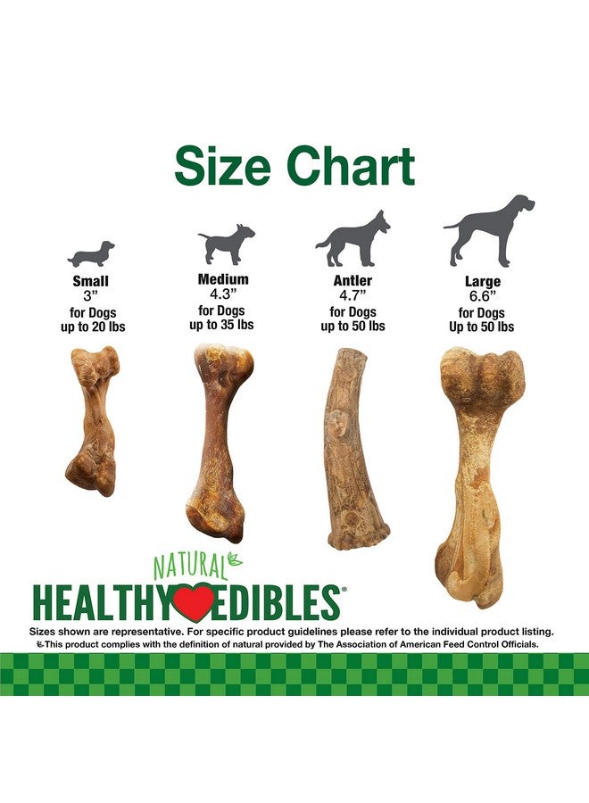Nylabone Healthy Edibles Broth Bone Natural Dog Chews Long Lasting Treats Ham Flavor Small/Regular - Up to 25 Ibs. (4 Count) - Image 5
