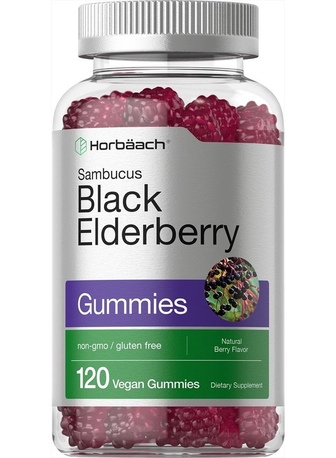 Horbaach Sambucus Black Elderberry Gummies | 120 Count | with Zinc and Vitamin C | Vegan, Non-GMO, Gluten Free Extract for Adults | Berry Flavor - Image 1
