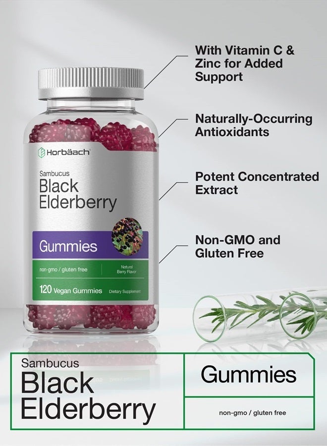 Horbaach Sambucus Black Elderberry Gummies | 120 Count | with Zinc and Vitamin C | Vegan, Non-GMO, Gluten Free Extract for Adults | Berry Flavor - Image 3