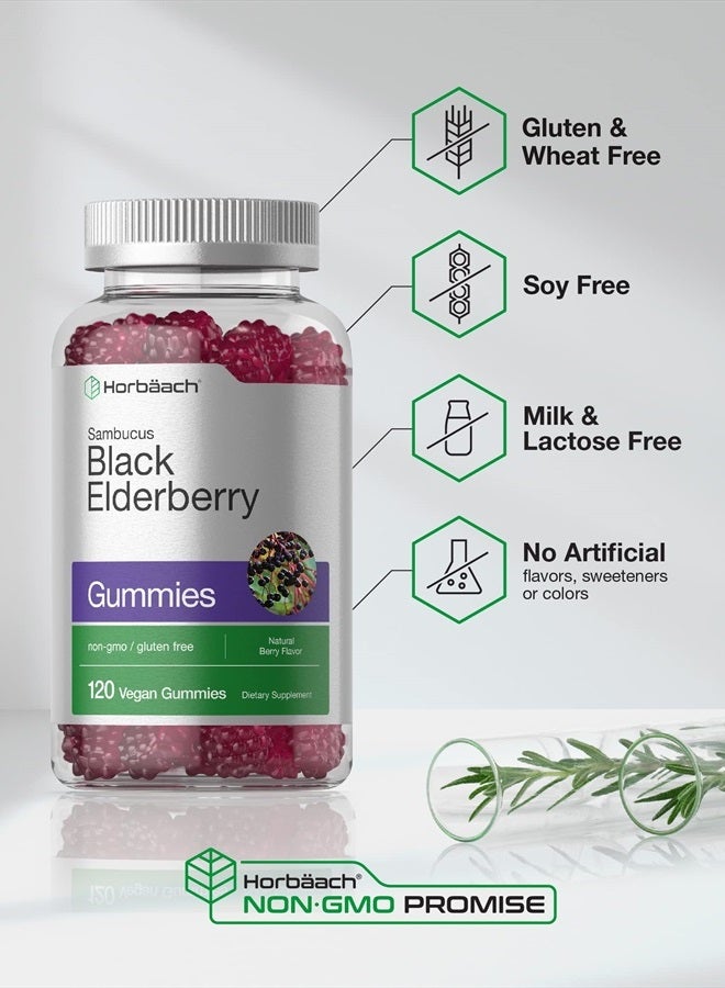 Horbaach Sambucus Black Elderberry Gummies | 120 Count | with Zinc and Vitamin C | Vegan, Non-GMO, Gluten Free Extract for Adults | Berry Flavor - Image 4