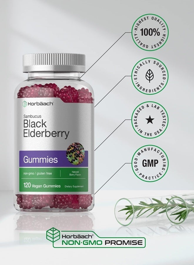 Horbaach Sambucus Black Elderberry Gummies | 120 Count | with Zinc and Vitamin C | Vegan, Non-GMO, Gluten Free Extract for Adults | Berry Flavor - Image 5