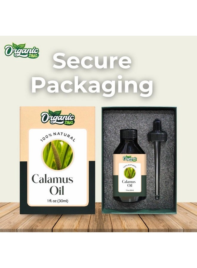 ORGANIC ZING زيت القصب العضوي (أكوروس كالموس) | زيت أساسي نقي وطبيعي للعناية بالبشرة، والعناية بالشعر، والعطور والموزعات - 30 مل/1.01 أونصة سائلة - Image 4