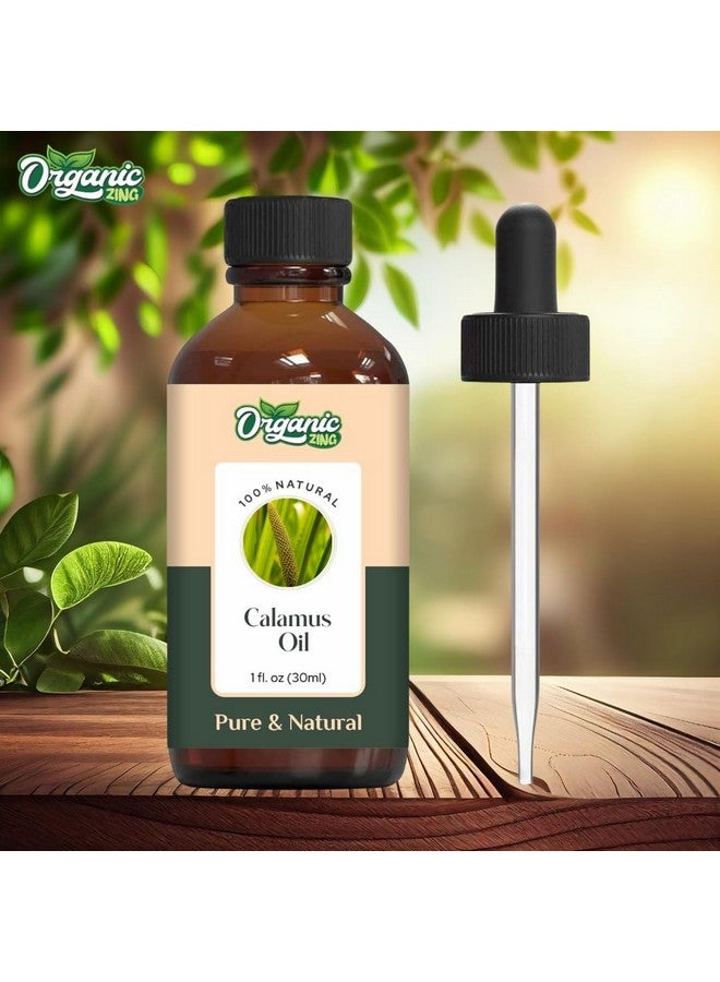 ORGANIC ZING زيت القصب العضوي (أكوروس كالموس) | زيت أساسي نقي وطبيعي للعناية بالبشرة، والعناية بالشعر، والعطور والموزعات - 30 مل/1.01 أونصة سائلة - Image 3