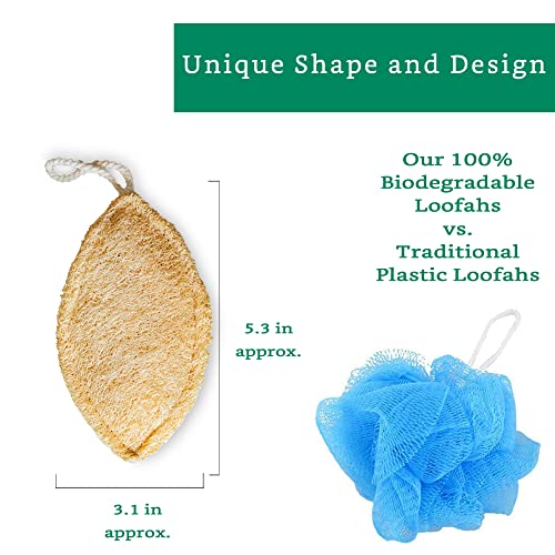 LooLife Natural Loofah Exfoliating Sponge (4 Pack) - Loofa Exfoliating Body Scrubber - Biodegradable Organic Loofah Sponge - Shower Luffa Sponges - Shower Lufa - Estropajos para el Cuerpo - Image 2