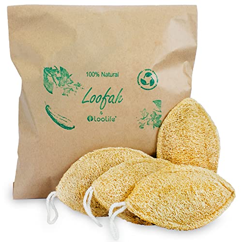 LooLife Natural Loofah Exfoliating Sponge (4 Pack) - Loofa Exfoliating Body Scrubber - Biodegradable Organic Loofah Sponge - Shower Luffa Sponges - Shower Lufa - Estropajos para el Cuerpo - Image 1