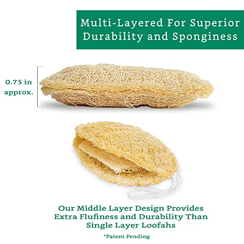 LooLife Natural Loofah Exfoliating Sponge (4 Pack) - Loofa Exfoliating Body Scrubber - Biodegradable Organic Loofah Sponge - Shower Luffa Sponges - Shower Lufa - Estropajos para el Cuerpo - Image 3