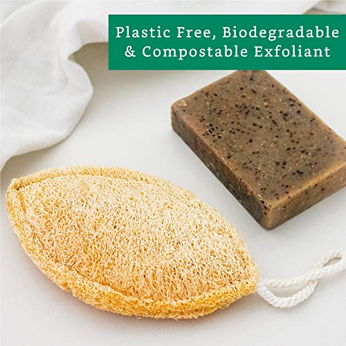 LooLife Natural Loofah Exfoliating Sponge (4 Pack) - Loofa Exfoliating Body Scrubber - Biodegradable Organic Loofah Sponge - Shower Luffa Sponges - Shower Lufa - Estropajos para el Cuerpo - Image 5