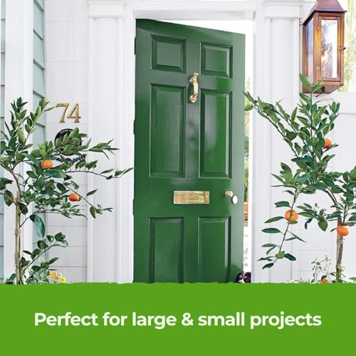 The ONE All-In-One Paint & Primer - Green Satin, 84.5 Fl Oz/2.5 Liter | 1 Coat Formula | Easy Indoor & Outdoor Decorating for Home & Garden Walls, Floors & Furniture | Water-Based & Low VOC - Image 5