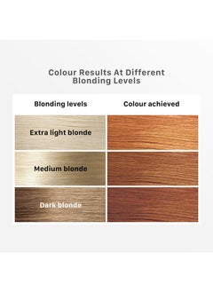 Hair Colour Highlight Kit | Blonde Hair Colour, Vibrant Blonde - Pack Of 1 I Enriched With Walnut & Argan Oil I Hair Colour For Women | Rich, Vibrant, Easy To Use, Diy Application - pzsku/ZCE4F92A278BB0755926BZ/45/_/1735567149/e4083473-b04a-44d0-8561-5d844c0135bb