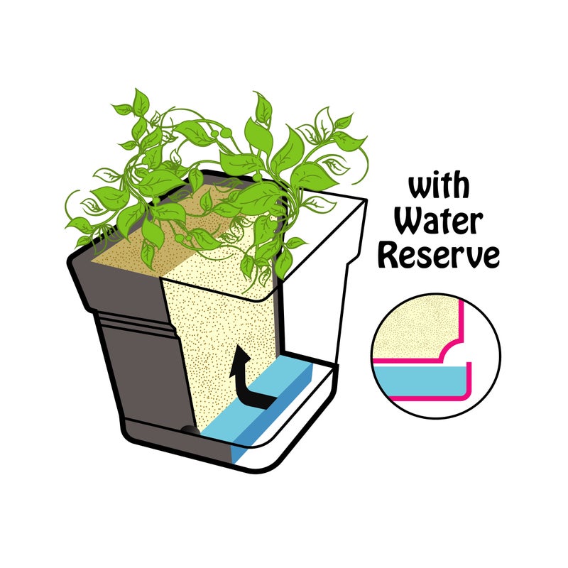 Mintra Square Flower Pot Planter with bottom tray - Plastic | Color - Grey | Size - 18x18x18cm | Asthetically Decorate Your Terrace, Garden or Patio. Ideal for outdoor or indoors - Image 3