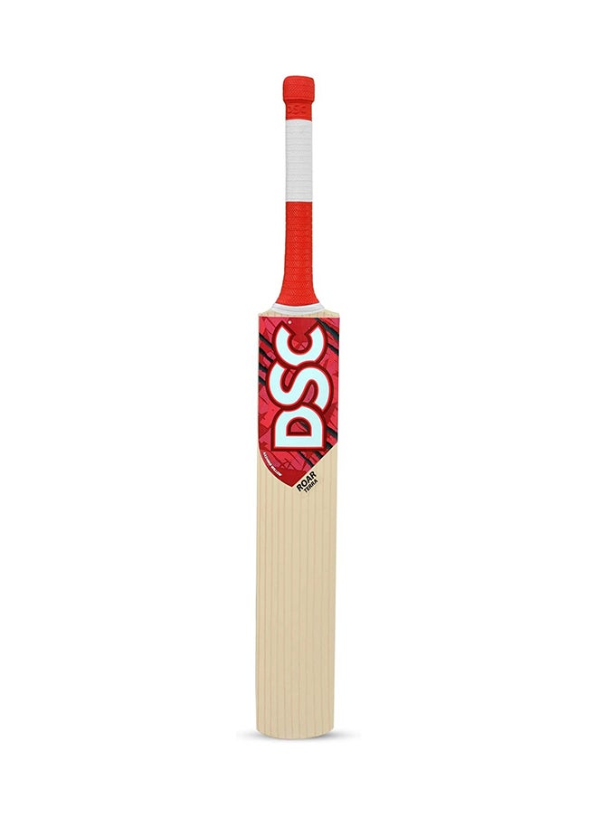 DSC - Roar Terra Kashmir Willow Cricket Bat Size: 4 - Image 1