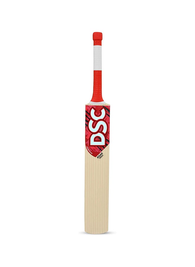 DSC - Roar Terra Kashmir Willow Cricket Bat Size: 4 - Image 1