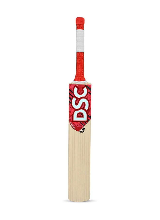 DSC - Roar Terra Kashmir Willow Cricket Bat Size: 4 - Image 1