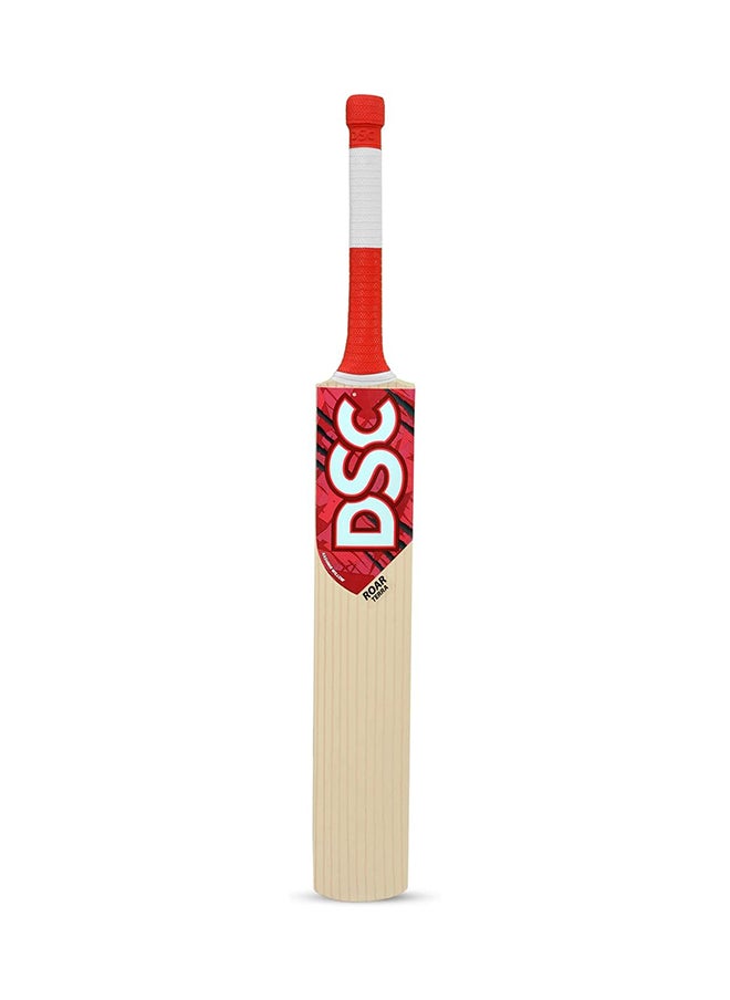 DSC - Roar Terra Kashmir Willow Cricket Bat Size: 4 - Image 1