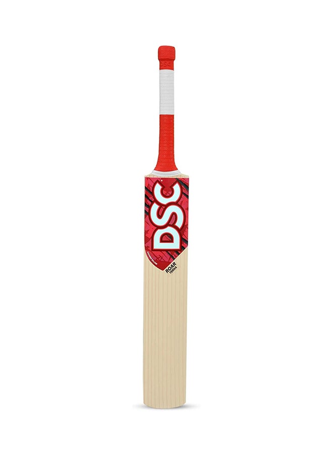DSC - Roar Terra Kashmir Willow Cricket Bat Size: 4 - Image 1