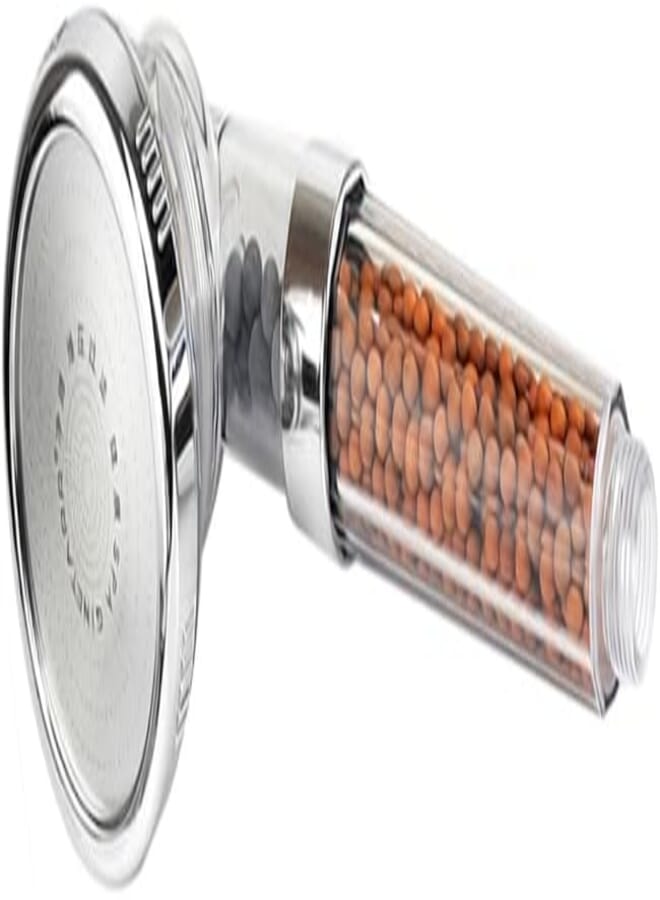 OR Size L Transparent Shower Head Water Filter Rainfall Handheld Nozzle