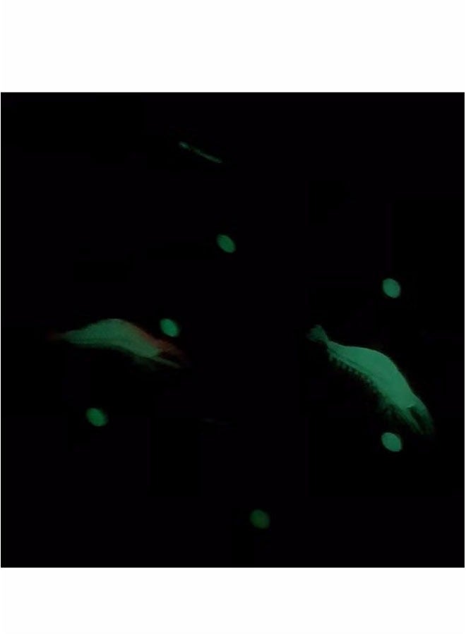 مجموعة من 5 قطع من طُعم صيد الروبيان الناعم المضيء، مجموعة طُعم الروبيان بخطافات حادة، أدوات صيد لسمك السلمون المرقط في المياه العذبة والمالحة - Image 5