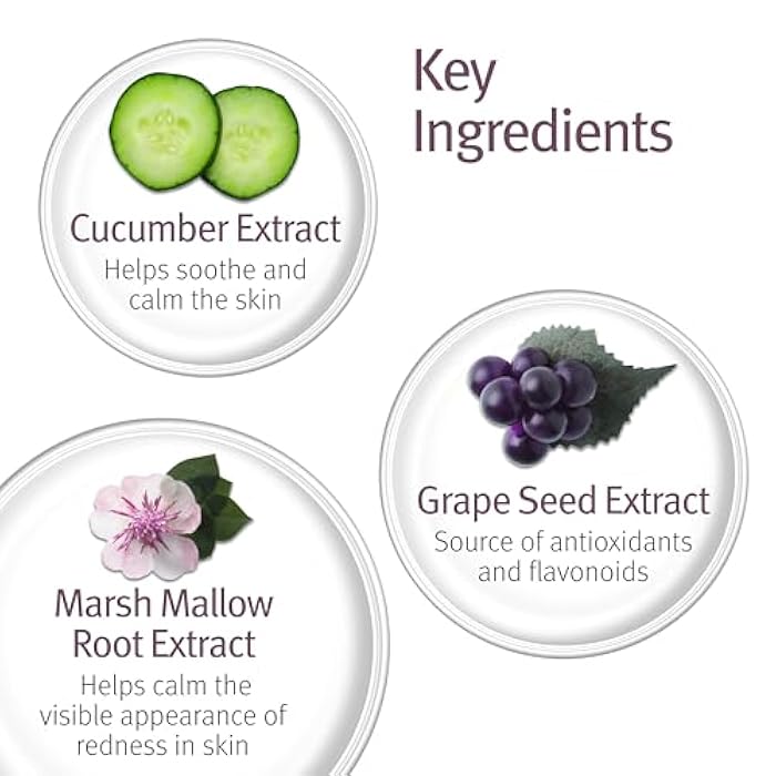 Epionce Balancing Toner - Facial & Body Toner, Alcohol-Free, pH Balanced Hydrating Formula, Cleanses Dirt, Oil & Makeup, Dermatologist Skincare - Image 4