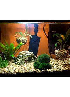 Generic Aquarium Plant Holder 2 Pieces Suction Cup Glass Plant Pots for Fish Tank  - Image 3