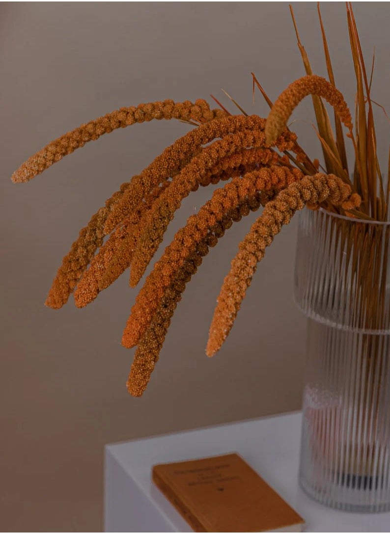 Generic Setaria Orange Flower 20 Pcs  - Image 3