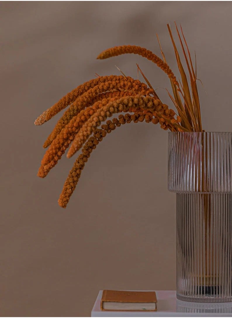 Generic Setaria Orange Flower 20 Pcs  - Image 4
