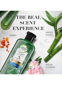 Herbal Essences Sulfate Free Potent Aloe Bamboo Shampoo 400ml and Conditioner 400ml  - Image 3