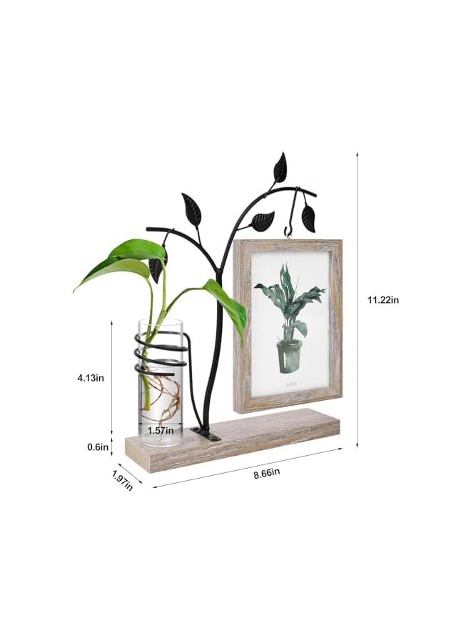 The Bros Fathers Day Dad Gifts from Daughter Son, Mothers Day Gifts, Mom Birthday Gifts, Wooden Picture Frame Plant Hydroponics Home Garden Office Decor, for Grandma, Mother Grandmother Mama Gift - Image 4