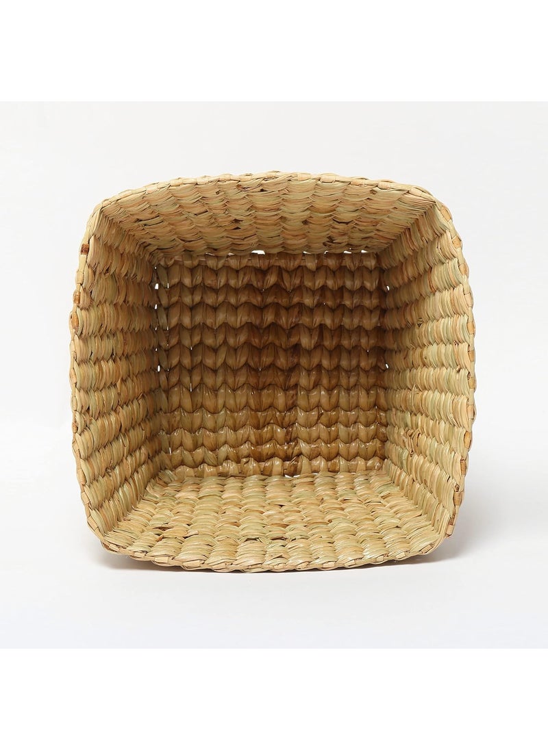 HabereIndia Biodegradable dustbinEcoFriendly dustbinStylish Cute dustbinDry Waste dustbin for eliminating ClutterPerfectly Sized StrawDry GrassSeagrassKouna Grass Room dustbin Height 8  - Image 4