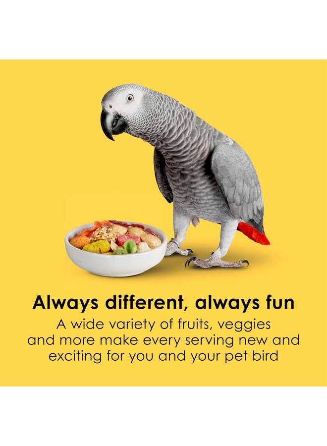 كايتي طعام ببغاء كايتي فييستا، مزيج مغذي وممتع، يدعم صحة الجلد والريش والهضم والدماغ والقلب، 4.5 رطل - Image 4