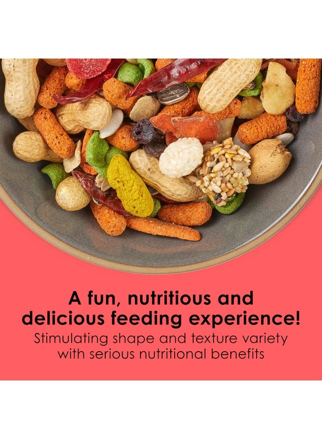 كايتي طعام ببغاء كايتي فييستا، مزيج مغذي وممتع، يدعم صحة الجلد والريش والهضم والدماغ والقلب، 4.5 رطل - Image 2