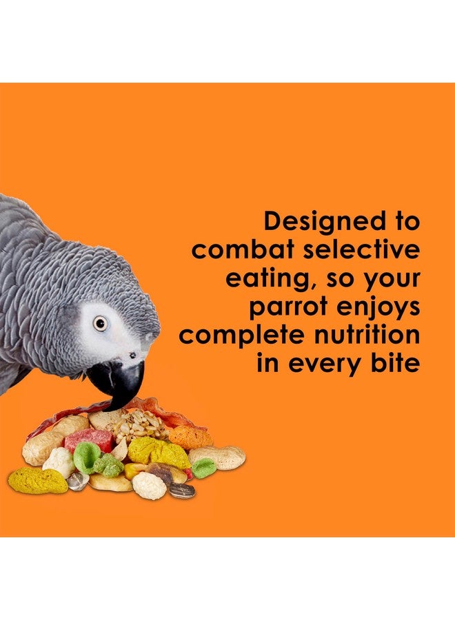 كايتي طعام ببغاء كايتي فييستا، مزيج مغذي وممتع، يدعم صحة الجلد والريش والهضم والدماغ والقلب، 4.5 رطل - Image 5