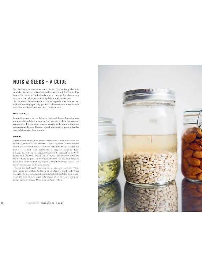 null - Vegan Dairy: Making milk, butter and cheese from nuts and seeds - Image 1