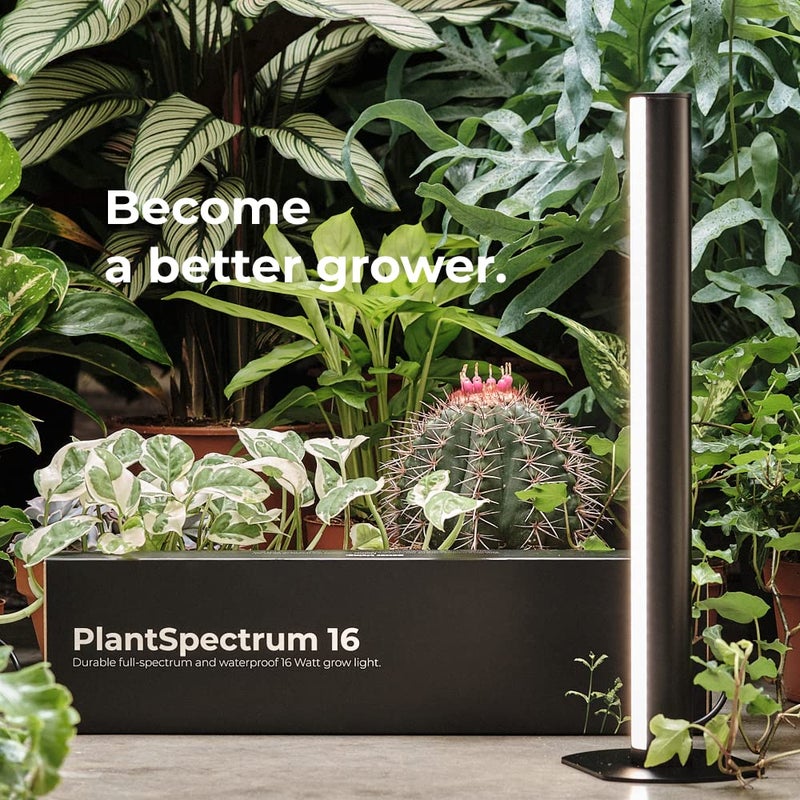 MOTHER مصباح نمو نباتات PlantSpectrum16، مصباح LED كامل الطيف بقوة 16 واط للنباتات الداخلية - Image 2